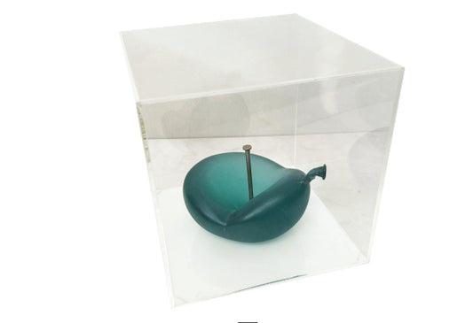 Globo de resina en caja de acrílico